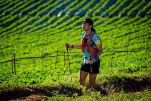 BIB: 
                            <button type="button" onclick="openModal(19160355)" class="btn btn-primary btn-sm float-right btn-popup" data-toggle="modal" data-target=".modal-high-quality">
                        <i class="fas fa-shopping-cart"></i> Add to Cart
                    </button>
                                            <button type="button" onclick="isThisMe(19160355, true)" class="btn btn-success btn-sm float-right btn-popup btn-isme hidden" data-toggle="tooltip" data-placement="bottom" title="นี่คือรูปของคุณใช่ไหม คลิกที่นี่เพื่อเอาเข้าอัลบั้ม">
                        <i class="fas fa-plus"></i> Add to album
                    </button>
                    <button type="button" onclick="isThisMe(19160355, false)" class="btn btn-warning btn-sm float-right btn-popup btn-isnotme hidden">
                        <i class="fas fa-ban"></i> Remove from album
                    </button>